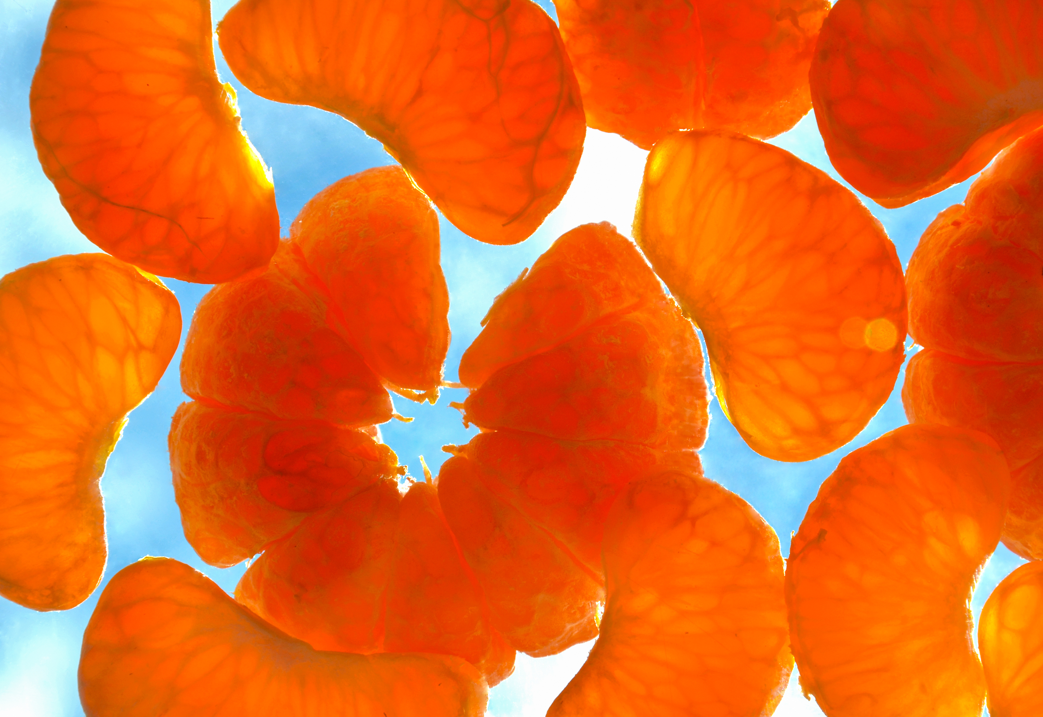 clementine pieces on blue background