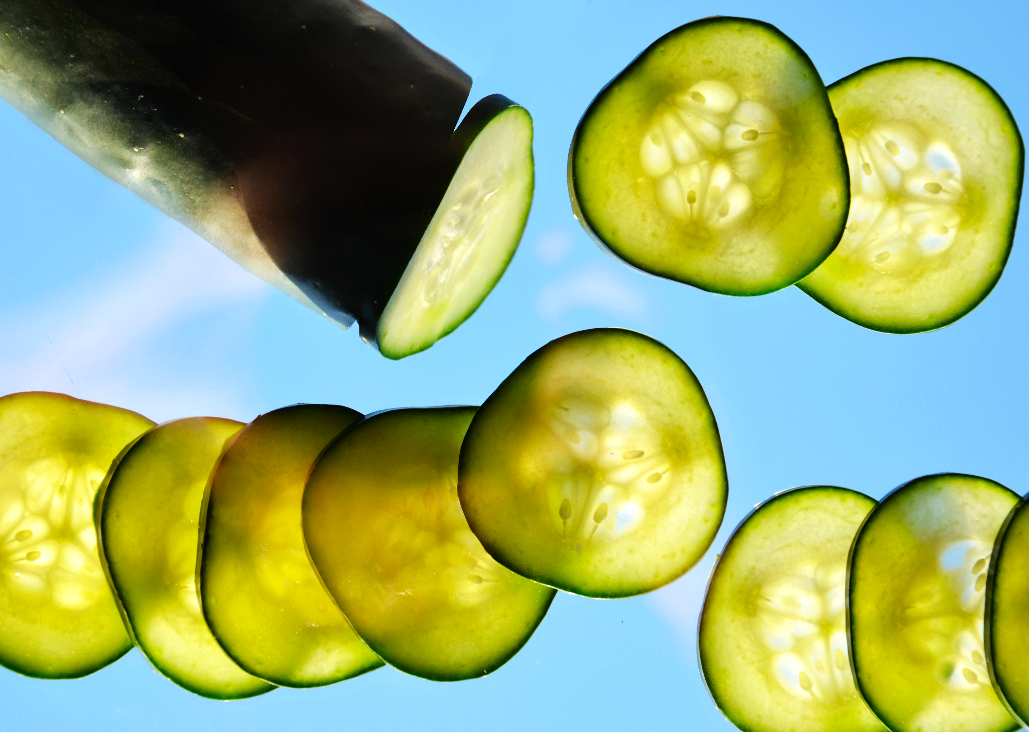 cucumber slices on blue background