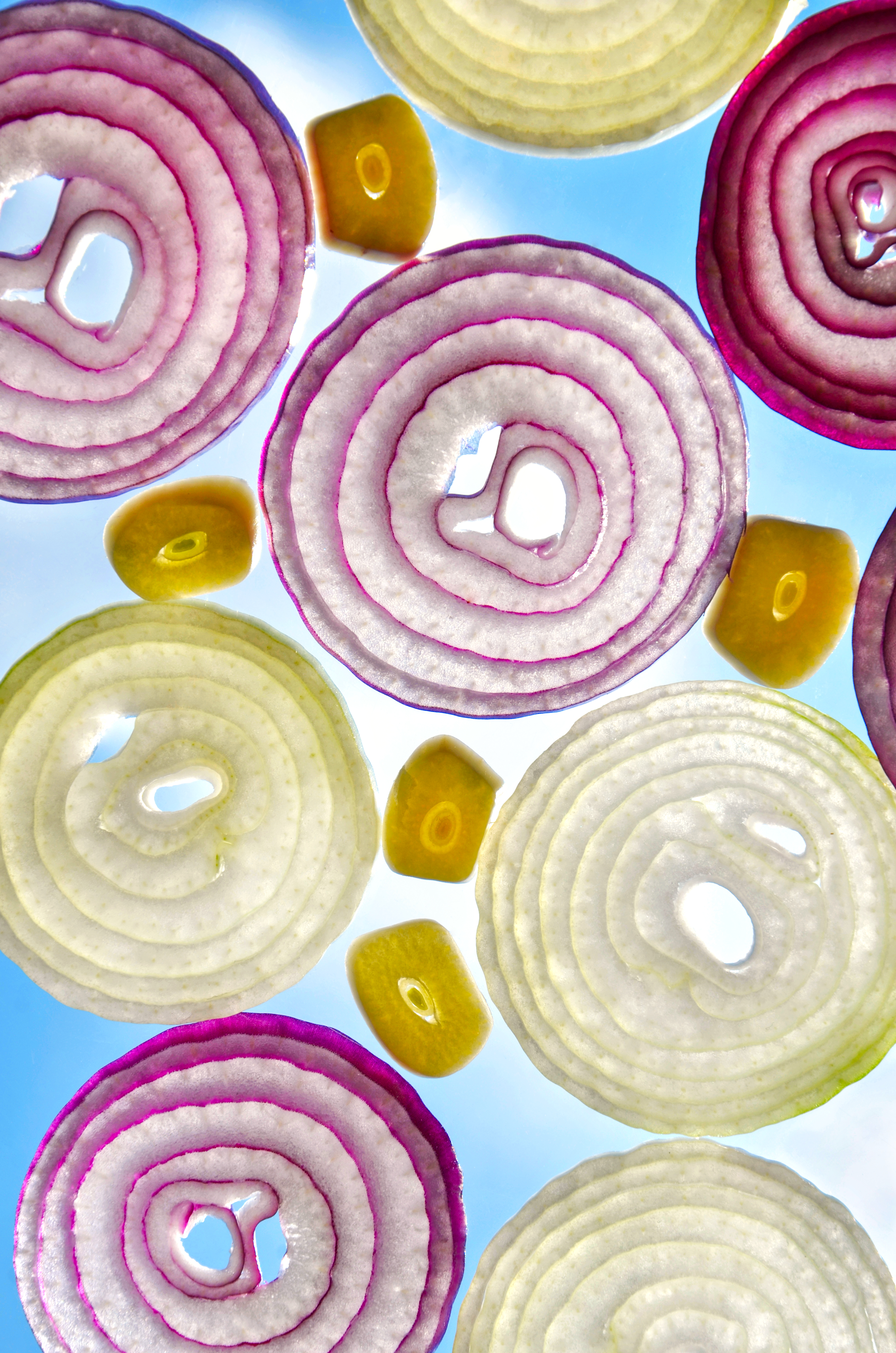 Onion and garlic slices against blue background